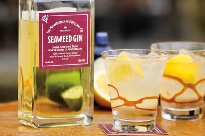 NL Distillery  Salty Seaman