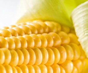 Maple Grilled Corn, Blueberry and Apple Salad
