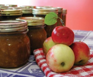 Nanny Wile’s Apple Chow Nanny Wile’s Apple Chow