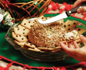 Chocolate Chip Cheese Spread