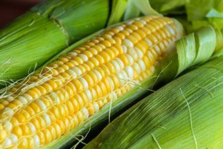 Corn Tales