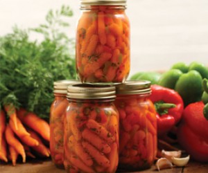 Pickled Baby Carrots
