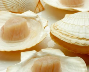 Scallops Stir-Fried with Snow Peas