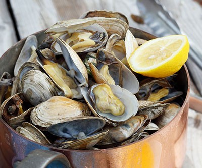 Steamer Clams