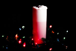 Partridgeberry Gin Fizz