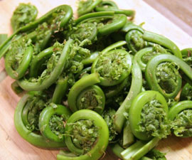 Salmon and Fiddlehead Stir-Fry
