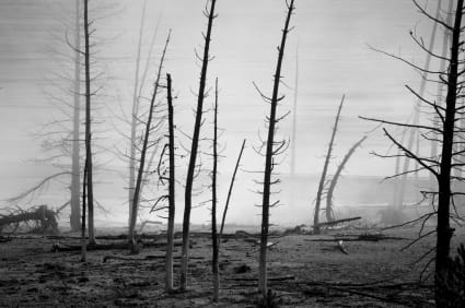 New Brunswick Ablaze