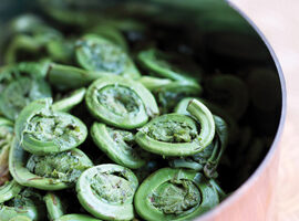 Fiddlehead and Shrimp Salad