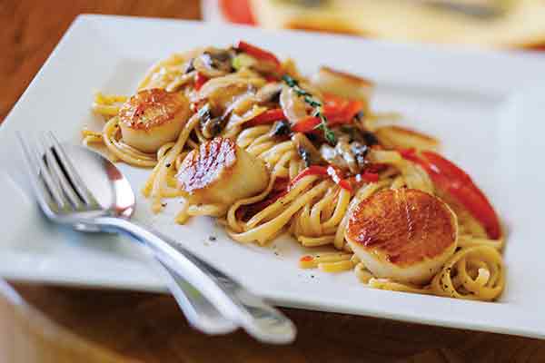 Scallops Montpelier Linguini