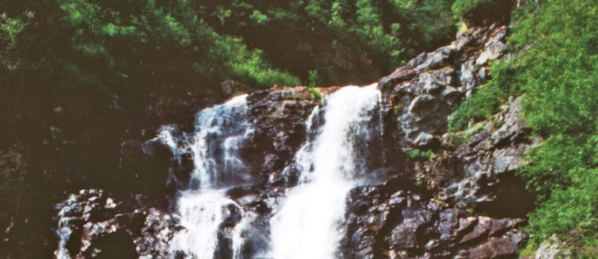 The Beauty of Falling Water