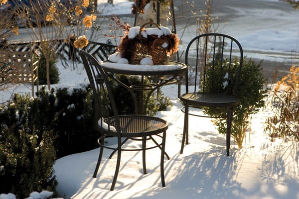 The Winter Garden