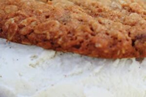 Ice Cream Sammies